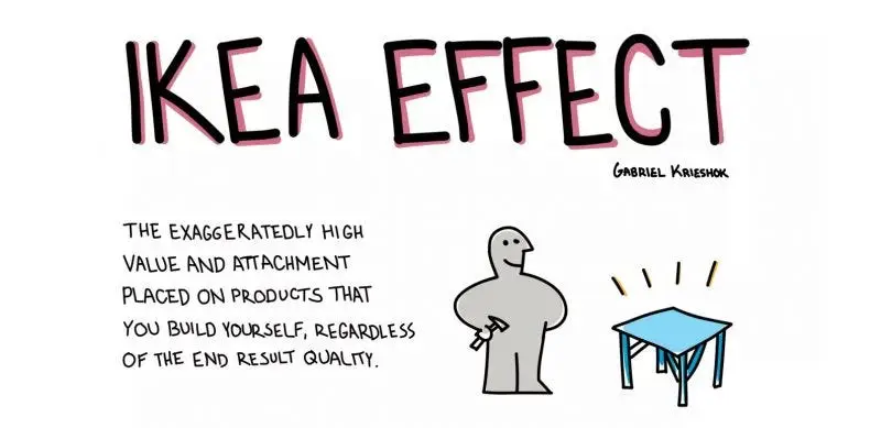 The Science Behind the IKEA Effect