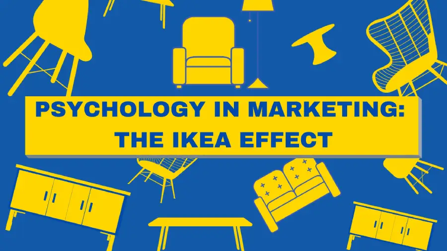 the ikea effect psychology